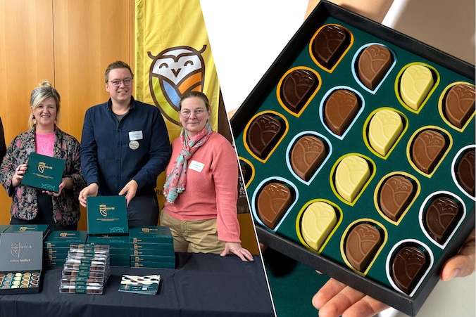 De MMMuilkes werden voorgesteld in de Helix in Geraardsbergen. / De MMMuilkes.