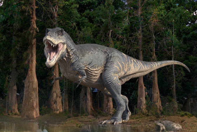 Illustratie van een tyrannosaurus rex.