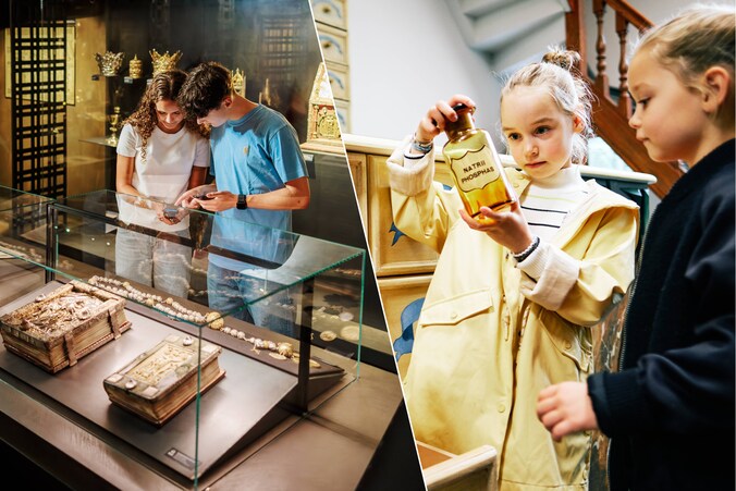Teseum in Tongeren-Borgloon/ Apotheekmuseum in Maaseik.