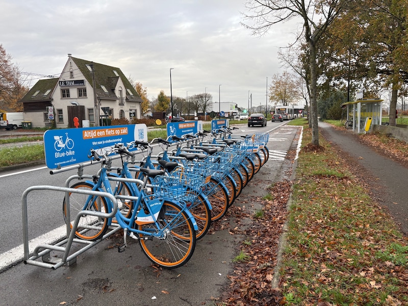Blue-bikes bieden meer flexibiliteit in Houthalen-Helchteren: deelfiets hoeft niet langer terug naar vertrekpunt