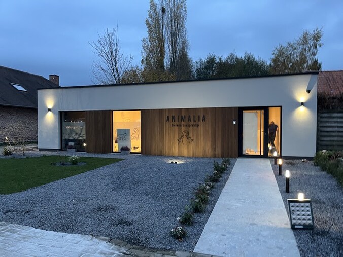 Dierenartsenpraktijk Animalia opent binnenkort de deuren in de Wellingstraat in Beernem.