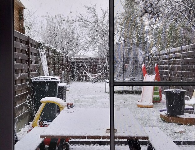 Sneeuw in Heule (Kortrijk)