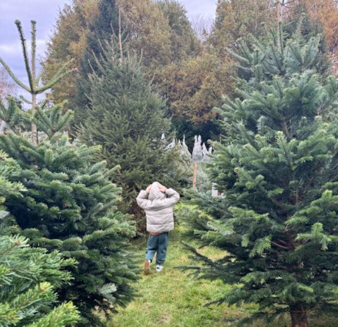 Frespar brengt kerstbomen naar Erpe-Mere, Herzele, Wetteren en Berlare.