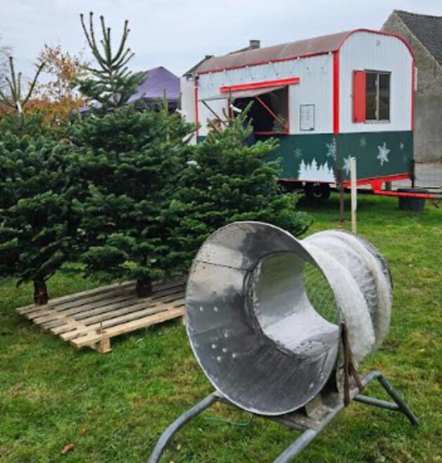 Frespar brengt kerstbomen naar Erpe-Mere, Herzele, Wetteren en Berlare.