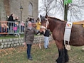 Een archiefbeeld van een eerdere paardenwijding aan het kerkje van Millegem. 