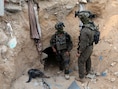 IN BEELD. Zeldzaam bezoek: journalisten dalen tot 25 meter diep in Hamas-tunnel onder verwoest Rafah