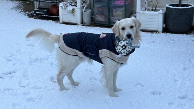 Jack omarmt sneeuw in Scherpenheuvel.