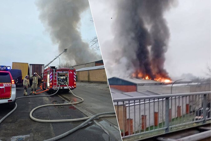 Uitslaande brand bij heftruckbedrijf HTC in Zele: industrieterrein ...