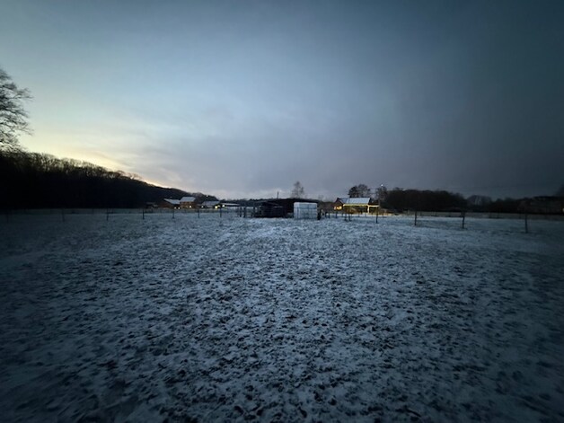 De sneeuw zorgt voor sprookjesachtige landschappen in Boortmeerbeek.