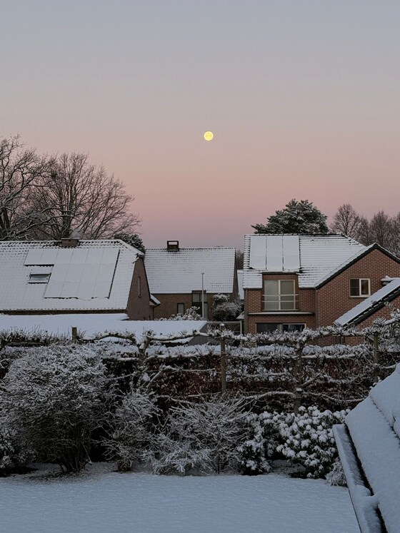 Zondagochtend in Zonhoven