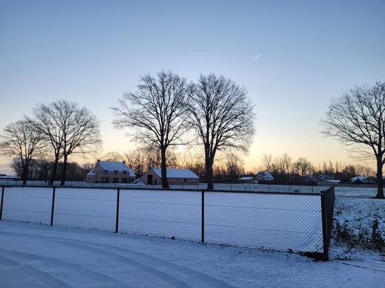 Laagje sneeuw in de Zuiderkempen