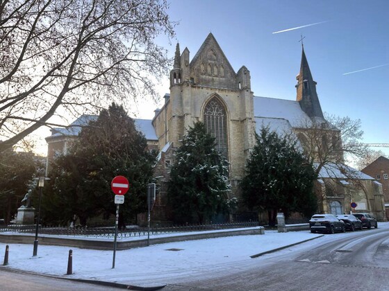 Leuven wordt wakker onder een laagje sneeuw