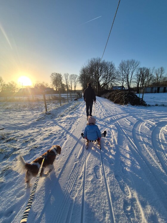 De driejarige dochter en 7 jaar oude hond hebben veel plezier in de sneeuw in het Kempense Bouwel.