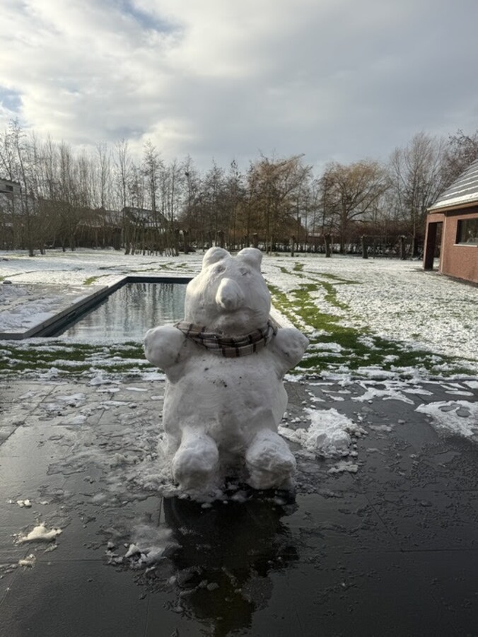 Sneeuw valt opnieuw massaal