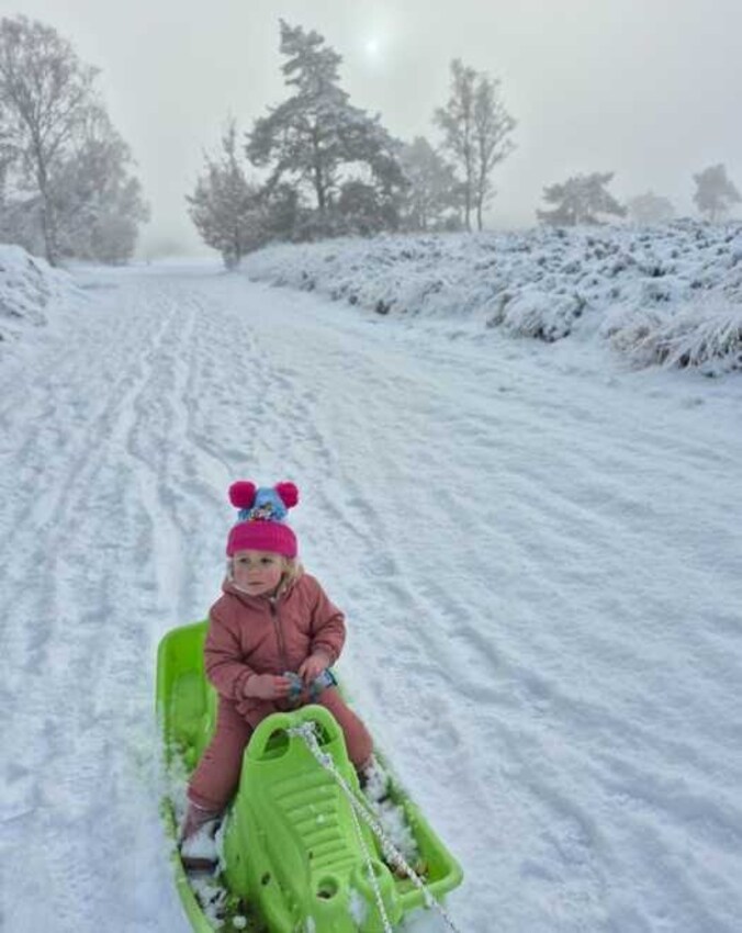 Sneeuwpret in Kalmthout.