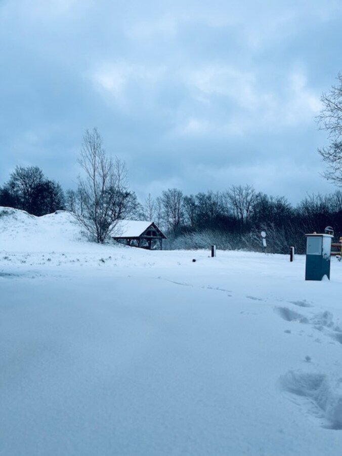 Sneeuwbeelden in Halle-Zoersel.