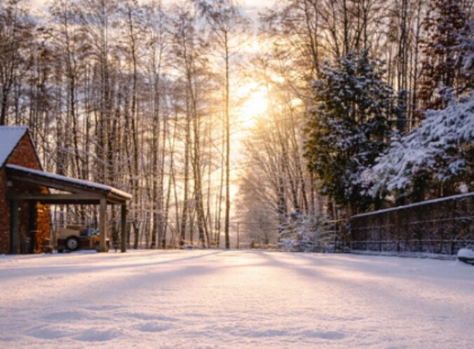 Sneeuw levert mooie beelden op in Beverlo