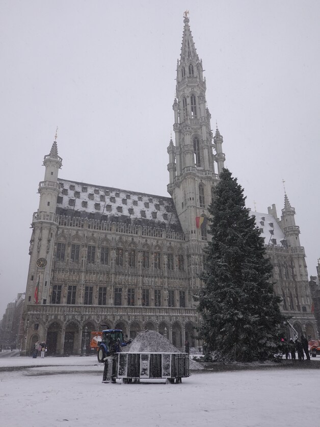 Brussel bedekt onder laagje sneeuw