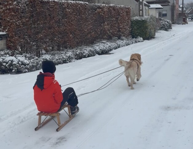 Sneeuwpret in Wintam (Bornem).