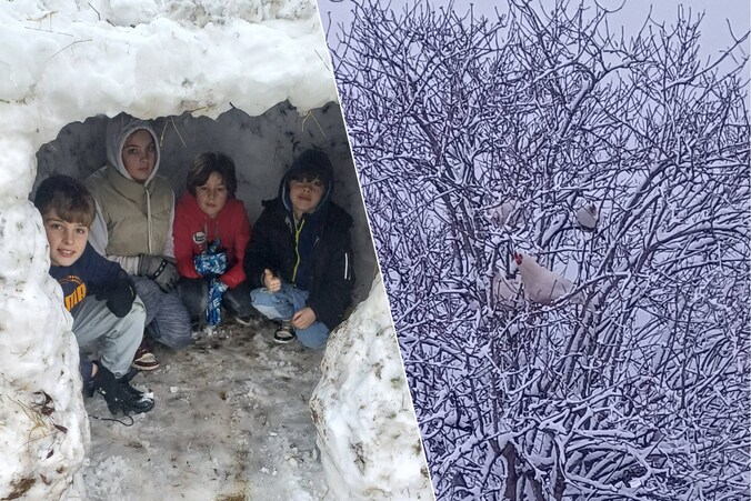 Vier kinderen bouwen iglo en sneeuwman in Zedelgem tijdens winterpret