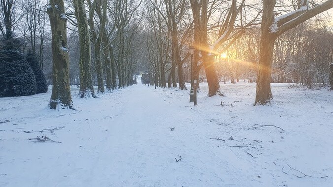 De sneeuw wijkt voorlopig nog niet voor de zon in het Colomapark in Sint-Pieters-Leeuw.