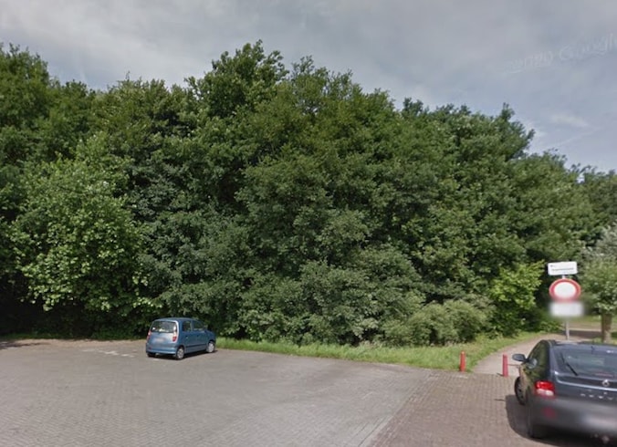 De boom viel om in de Brouwerstraat