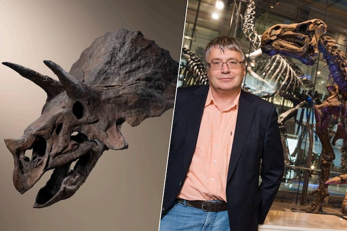 De kolossale dinosaurusschedel “Baby Jane” / De Belgische paleontoloog Pascal Godefroit op archiefbeeld.