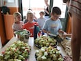 Brooddoosnodig breidt uit naar negen scholen in Mol: gratis gezonde maaltijden voor nog meer leerlingen
