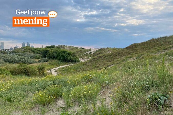 De bekende duinen van Bredene