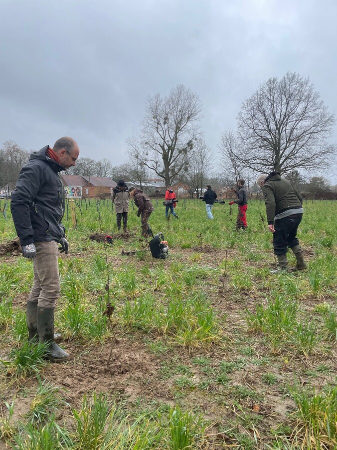 Nieuwe bomen worden aangeplant, het begin van 2,8 hectare. 