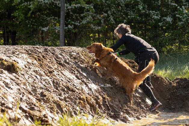 Een foto van een vorige editie van de Dogsurvival van Dog4You Lubbeek