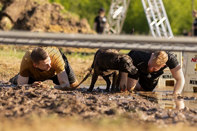 Een foto van een vorige editie van de Dogsurvival van Dog4You Lubbeek