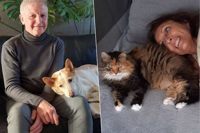 11.800 honden en 6.600 katten... Hoe Roeselare de beestig leukste stad ...