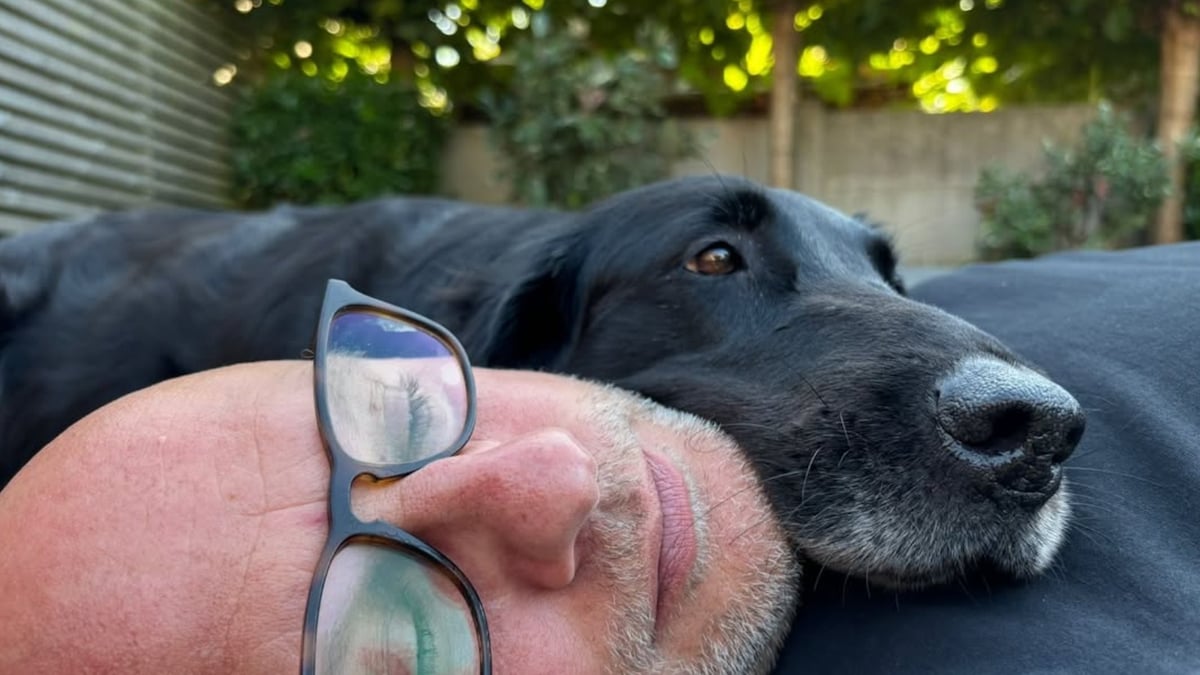 Raf Van Brussel neemt afscheid van zijn hond: “Wat ben ik dankbaar voor de  negen jaar dat jij in mijn leven was” | Showbizz | HLN.be