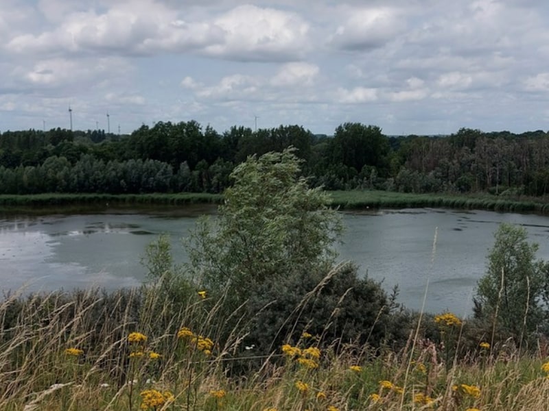 Omgevingsvergunning voor natuurontwikkeling Opstalvallei goedgekeurd