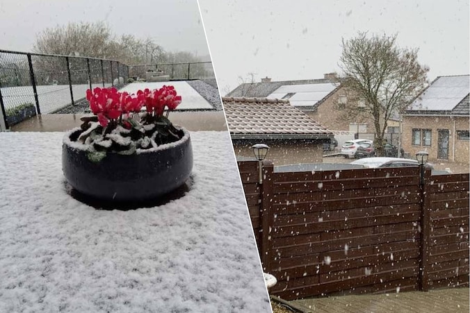 Tongeren werd zaterdagochtend wakker onder een wit laagje sneeuw, terwijl het ook plots begon te sneeuwen in Den Kulter.