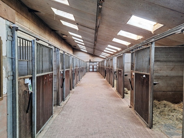 Stad Peer verkoopt paardendomein met manege en horecazaal: bieden kan ...