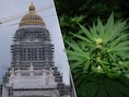 Jarenlange celstraf dreigt voor duo dat cannabis uit USA liet overkomen: “Met verkeerde mensen in contact”