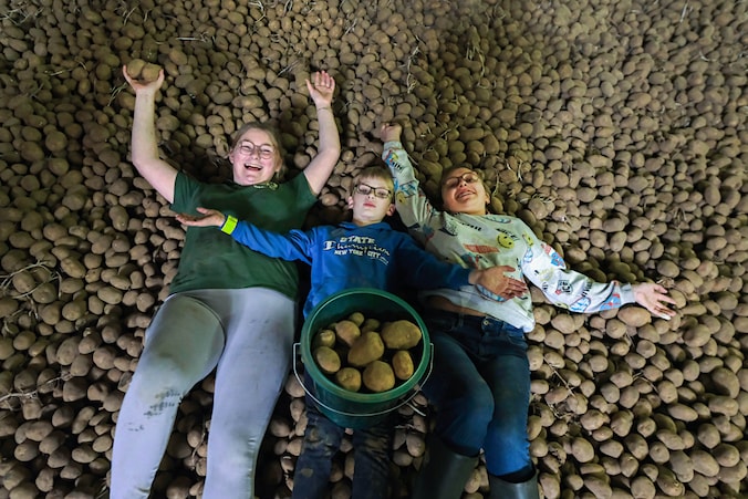 Boerin in Vlamertinge raakt 150 ton aardappelen niet kwijt, maar dan ...