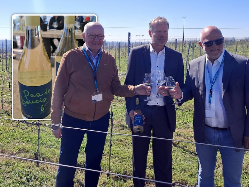 Colruyt lanceert zijn eerste zelfgemaakte wijn, maar in de supermarkt zal u die niet vinden