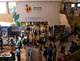 Tuvalu en Ierland organiseren volgende top over afbouw fossiele brandstoffen