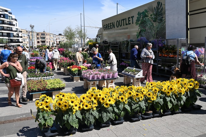 Bloemen- en plantenmarkt lokt veel bezoekers | Regio | HLN.be