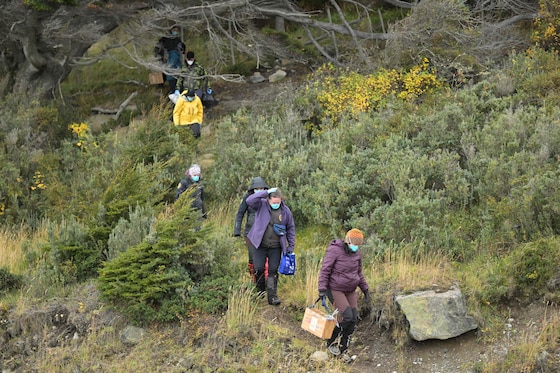 Beelden van de vangst van de knaagdieren in Ushuaia.