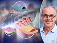 Worden deze ‘slimme’ slippers nóg populairder dan Crocs? Podoloog legt uit wat ‘exercise slides’ zijn: “Bevorderen herstel na sport”