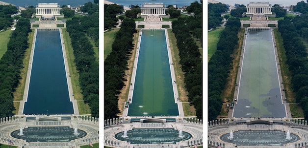 The evolution of algal growth (LR): photos taken on June 12, June 16 and June 18, 2026. 