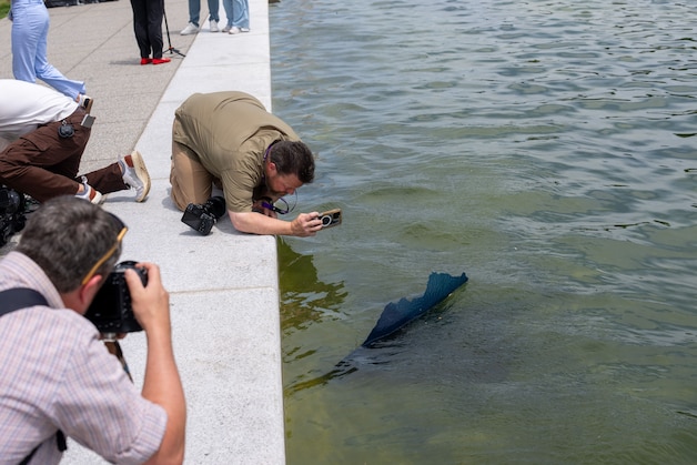 Visitors noticed the floating material on Thursday. 