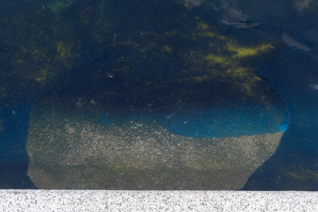 Algae and peeling paint in the mirror pond.