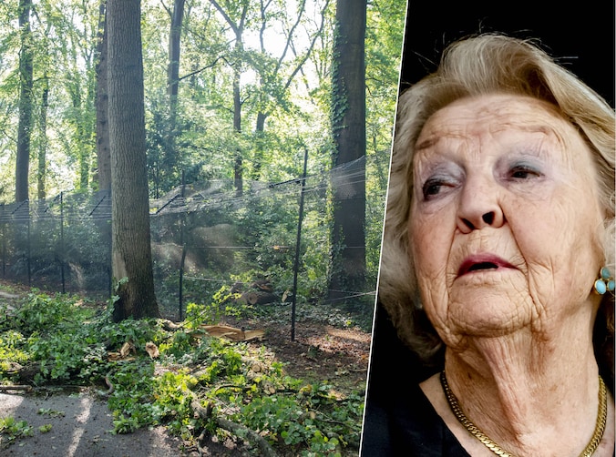 Prinses Beatrix inspecteert zelf stormschade bij kasteel Drakensteyn |  Showbizz | HLN.be