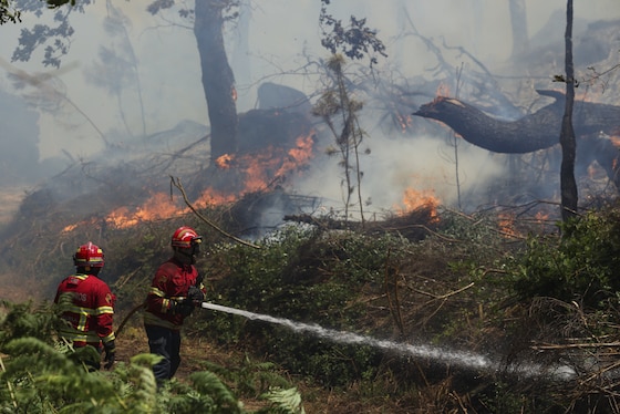Des pompiers tentent d'éteindre un incendie de forêt qui fait rage depuis la nuit dernière à Vouzela, au Portugal, le 2 juillet 2026.