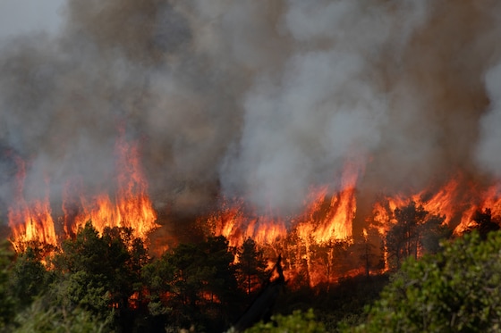 Les flammes d'un incendie de forêt détruisent la végétation près de Sainte-Valière, dans le département de l'Aude, dans le sud de la France.